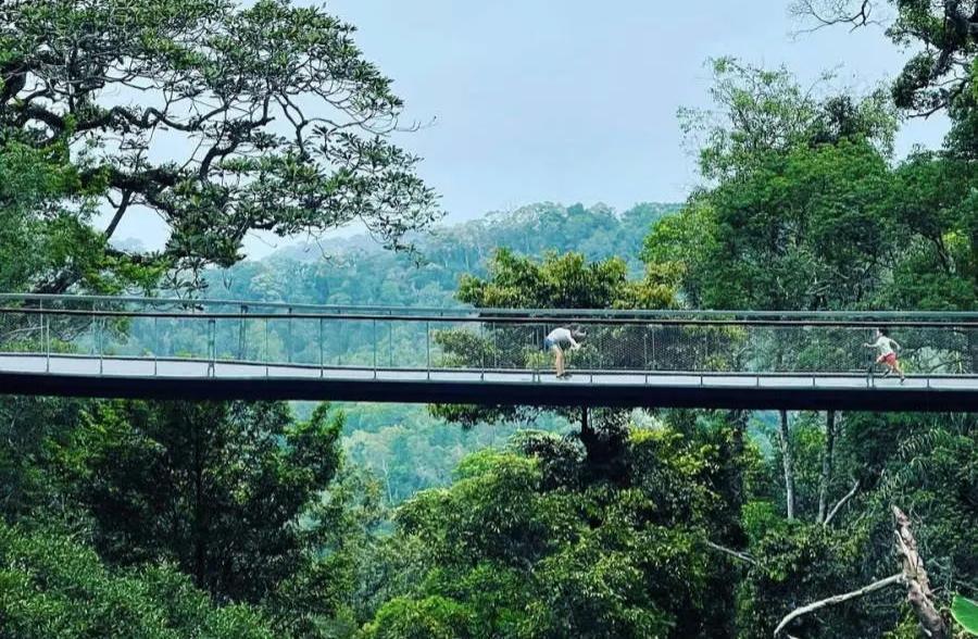 UNESCO iktiraf Bukit Bendera tapak rizab biosfera