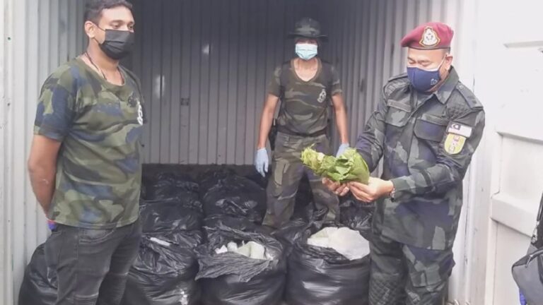 Taktik baharu seludup ketum, kumpul stok dalam kontena