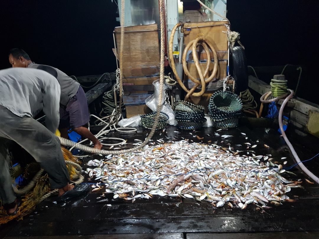 Enam nelayan, dua bot ditahan ceroboh Taman Laut