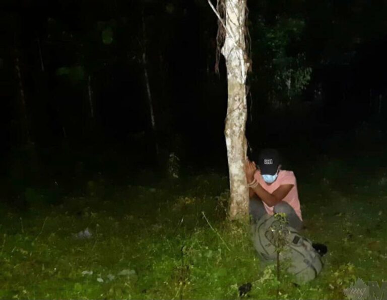 Dua Pati warga Myamnar diikat pada pokok dalam hutan