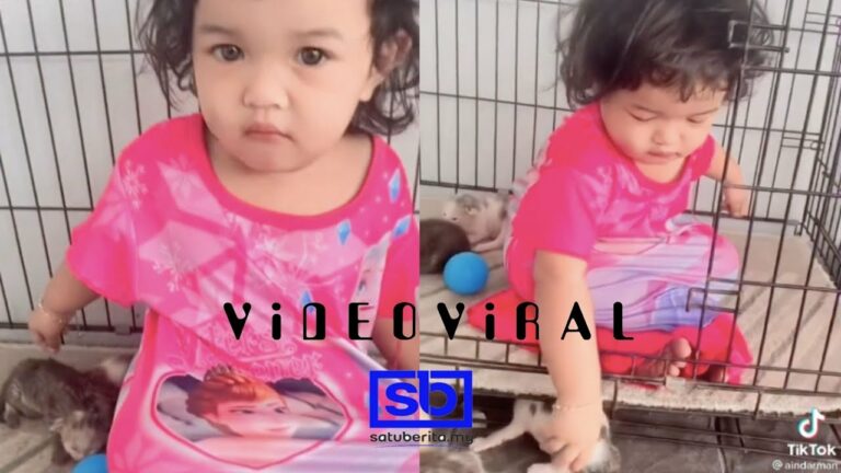 [VIDEO] Budak jadi ‘hero’ gantikan kucing dalam sangkar