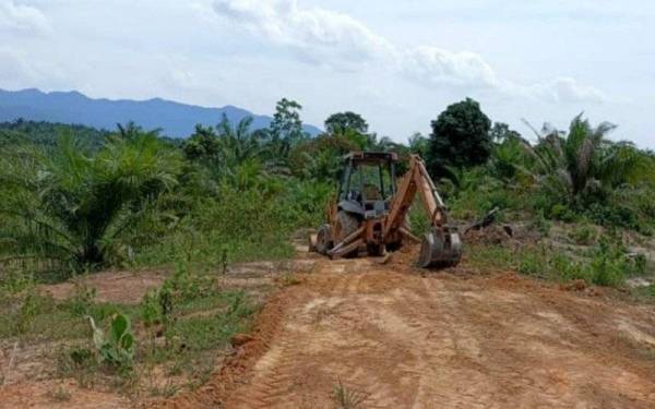 JPNP tahan pemandu jengkaut rata hutan simpan