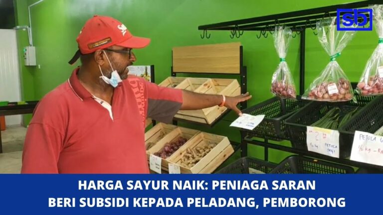 [VIDEO] Harga sayur naik: Peniaga saran beri subsidi kepada peladang, pemborong