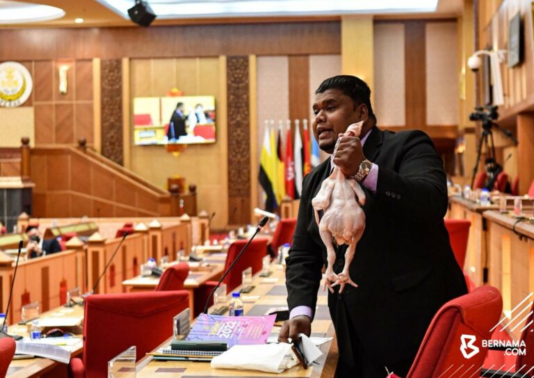 Wakil rakyat bawa ‘ayam mahal’ dalam DUN, hadiah pada Exco