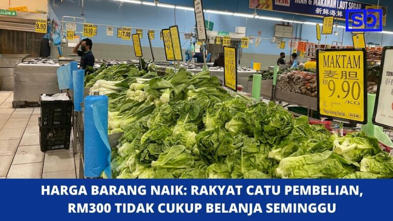 [VIDEO] Harga barang naik: Rakyat catu pembelian, RM300 tidak cukup belanja seminggu