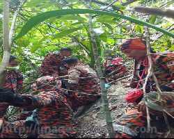 Wanita sesat hampir 24 jam ditemui selamat