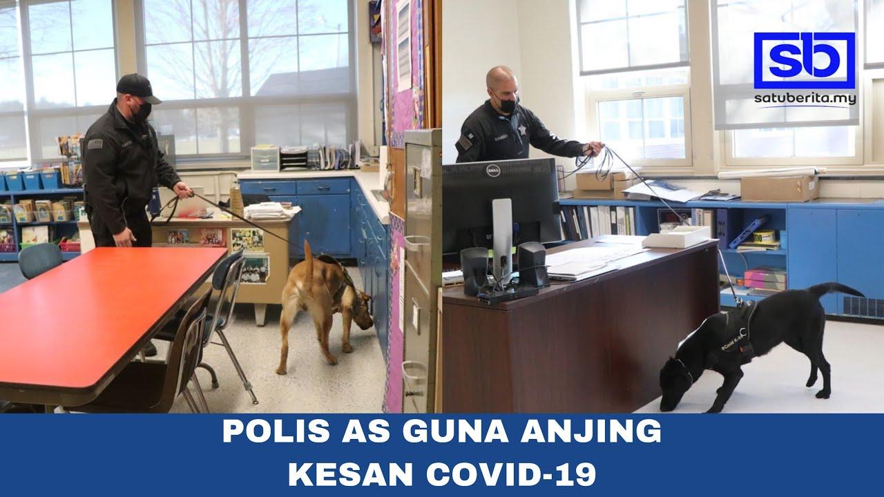[VIDEO] Polis AS guna anjing kesan Covid-19