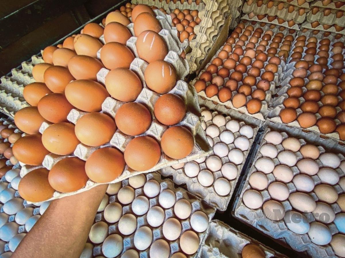 Telur ayam: Kekurangan bekalan dijangka selesai dalam masa terdekat 