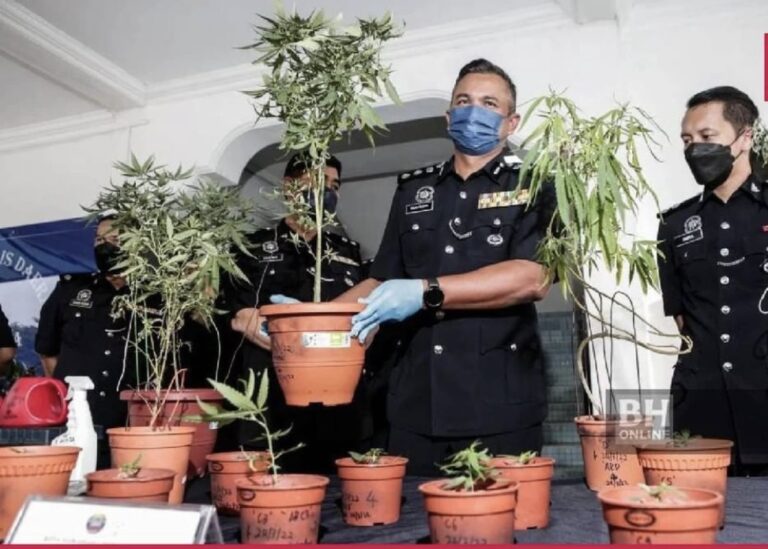 Semua akan kena tangkap – cikgu, artis, ahli politik, penjawat awam: Ayob