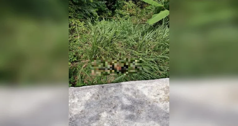 Polis klasifikasi penemuan mayat wanita dalam gaung kes bunuh