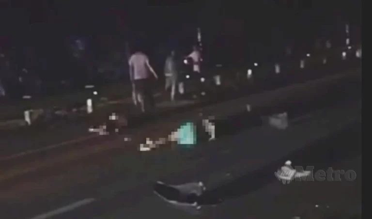 Sedih tengok mayat PATI bergelimpangan atas lebuh raya