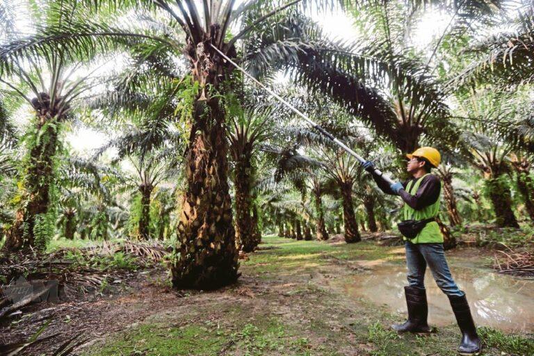 MPN gesa segera proses kelulusan permohonan pekerja asing, pulih kerugian industri