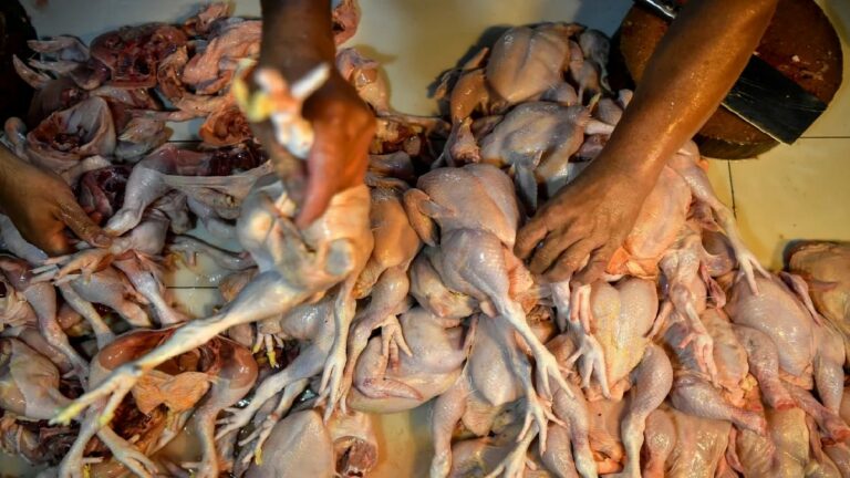 Inflasi makanan melonjak bila subsidi ayam, telur, minyak masak dimansuhkan