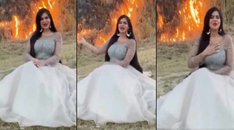 Demi konten TikTok, selebriti bakar hutan