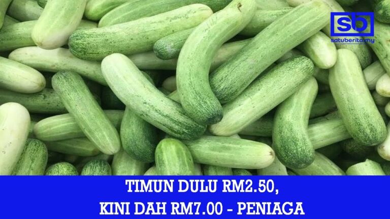 [VIDEO] Dulu timun RM2.50 kini RM7 sekilogram – Peniaga