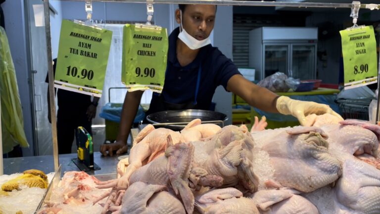 Harga ayam tidak diapung, harga siling akan diumumkan
