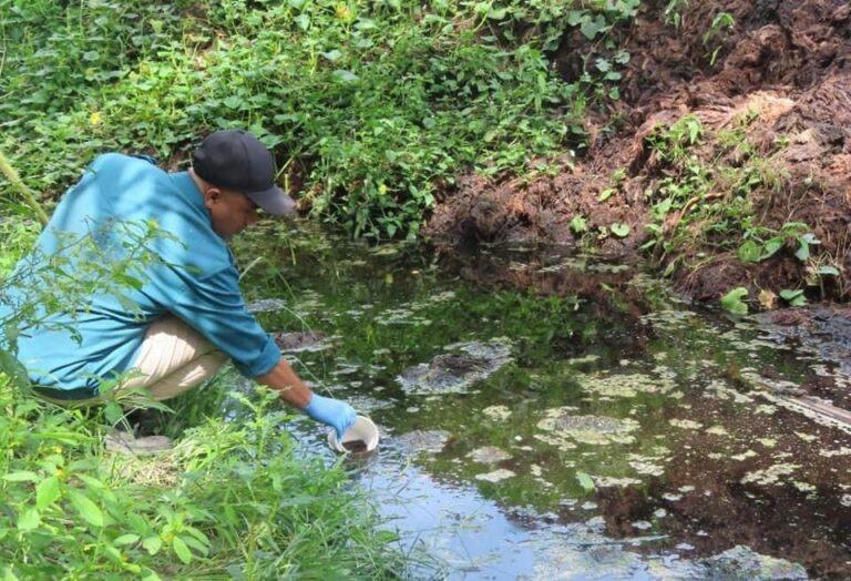 Cemar sungai, lesen kilang sawit digantung serta merta