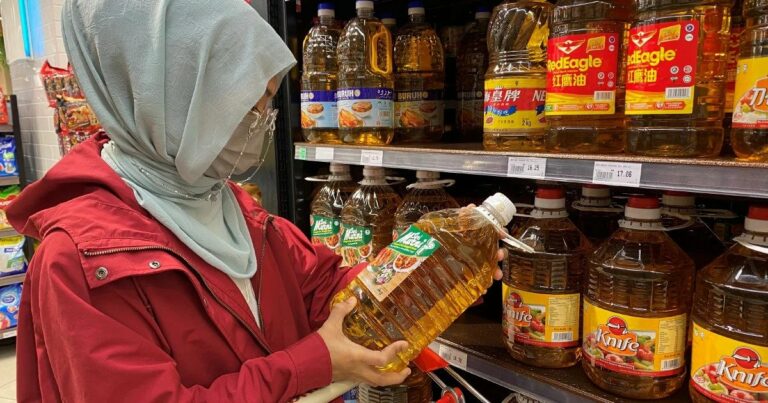 [VIDEO] ‘Dengan subsidi dah rasa beban, tanpa subsidi lagi terasa beban’ – Pengguna