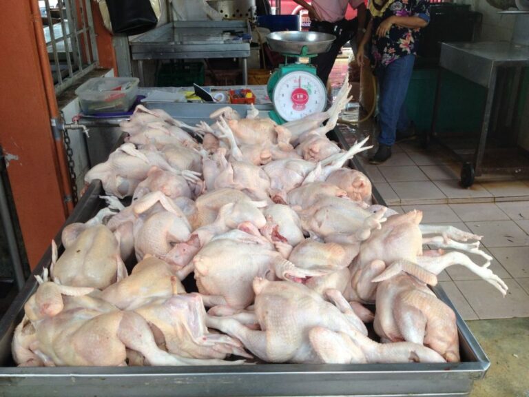 Harga siling ayam RM9.40 terlalu tinggi untuk B40 – Subbarow