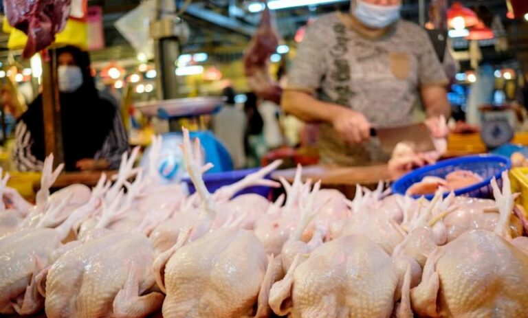 Harga ayam di ladang naik 20 sen, RM11 sekilogram peringkat runcit