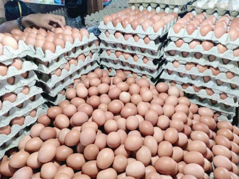 Selepas ayam, telur pula kurang bekalan
