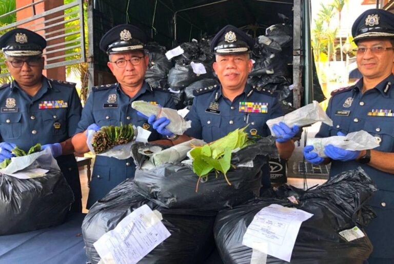 Guna helah tukar pemandu elak ditahan seludup 1.45 tan ketum