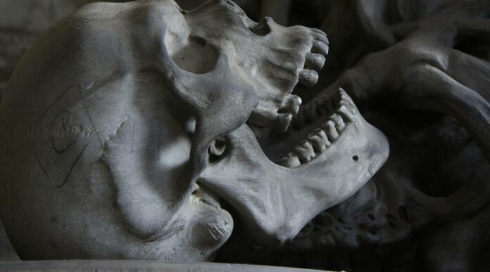 Jawbone-ancient-human-fossils