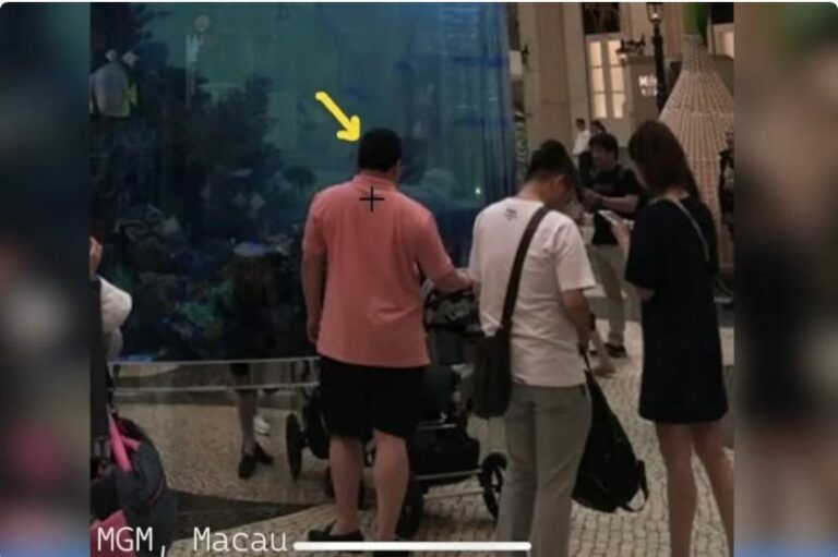 Gambar baharu Jho Low diambil penyiasat persendirian didedahkan: Laporan