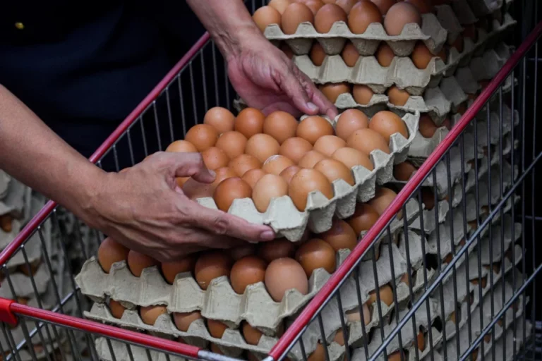 Kompaun lebih RM500,000 kepada pengeluar, pemborong, peruncit ayam