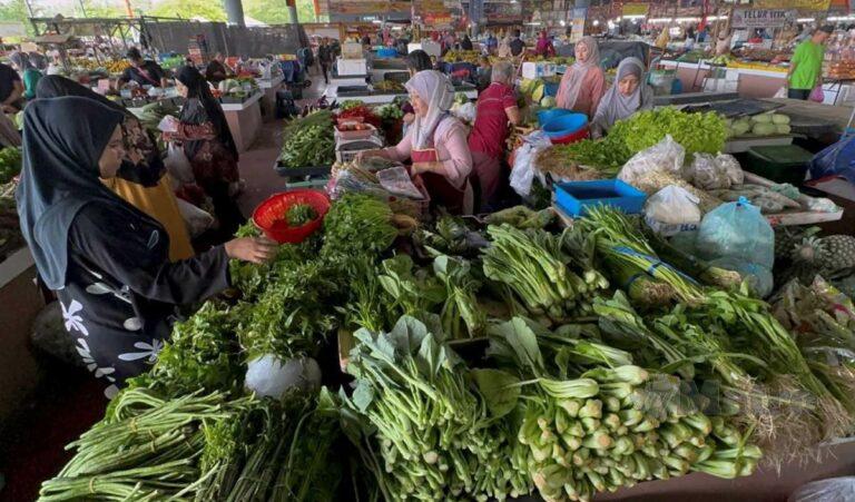 Harga sawi, kailan naik dua kali ganda 