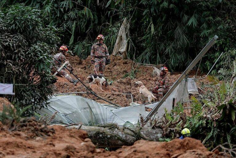 Tanah runtuh: Peluang 12 mangsa ditemukan hidup tipis