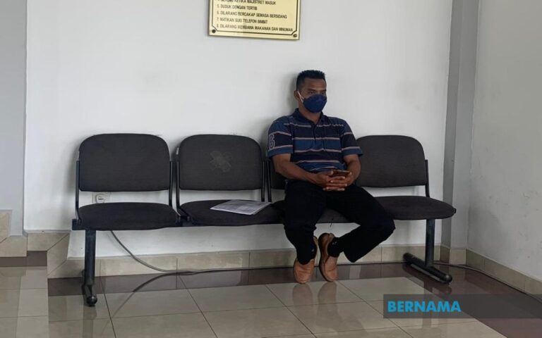 Pemandu lori didakwa pukul anjing dengan kayu