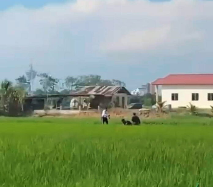 tahan