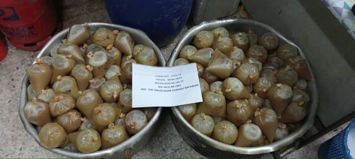 Ketum-1