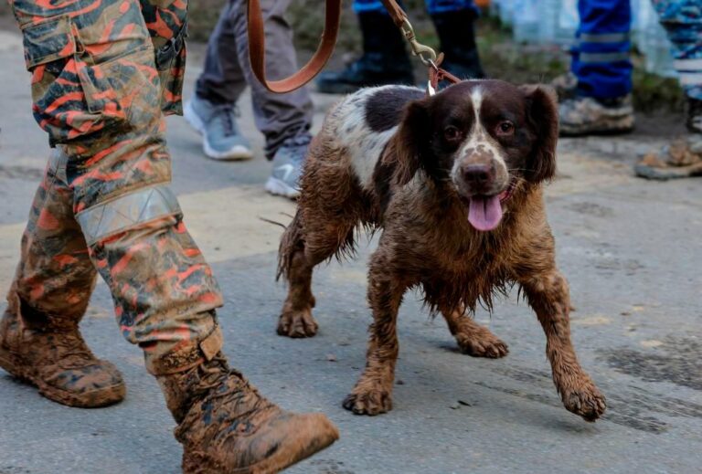 K9 digunakan bantu kesan kanak-kanak dikhuatiri lemas
