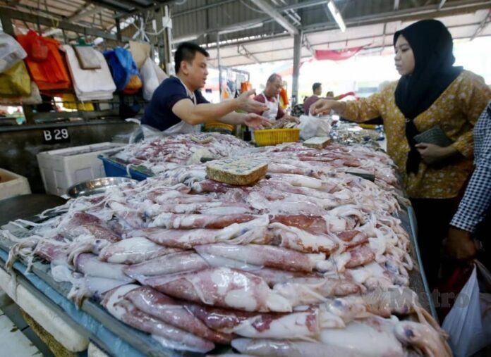 Sotong-1