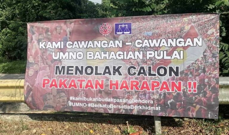 Pujuk ketua cawangan UMNO tolak calon Parlimen Pulai