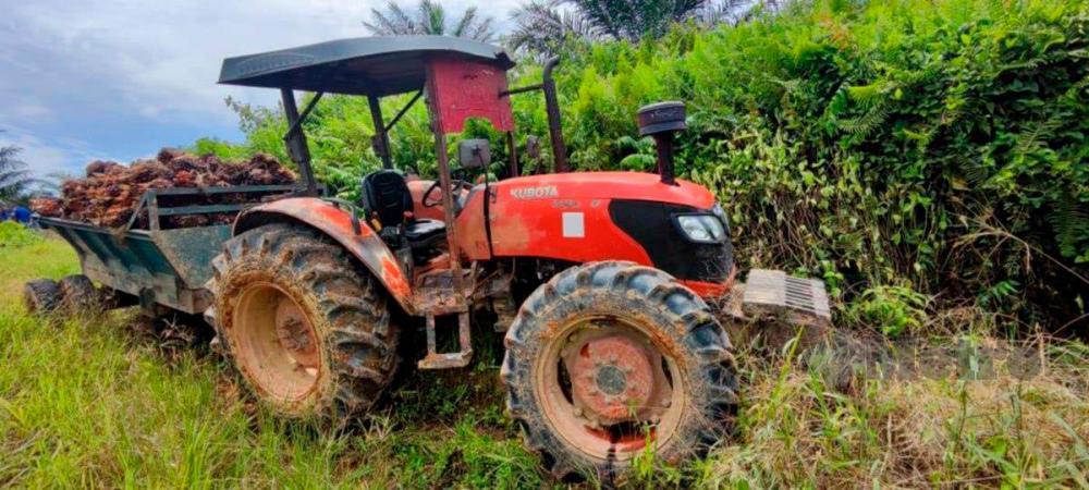 Seorang lelaki warga Indonesia maut digilis traktor