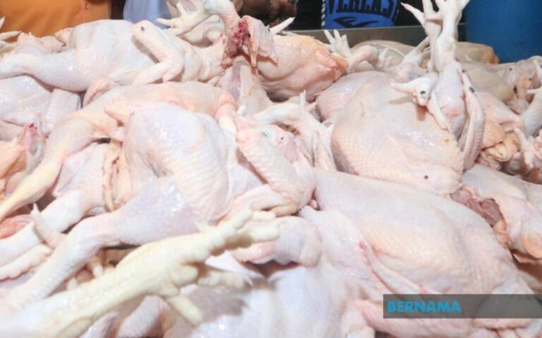 ‘Ada hari harga ayam cecah RM9.40 sekilogram’ – Peniaga